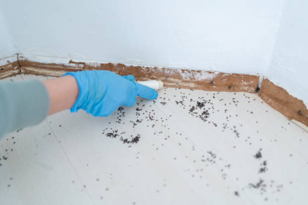 Best Pest Control for Multi-Family Homes  in Silver Springs, FL